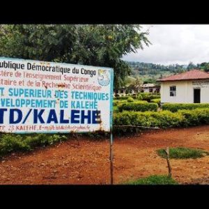 Institut Supérieur des Techniques de Développement de Kalehe